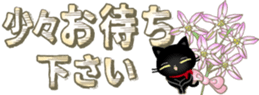 342196264