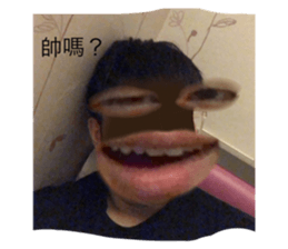 342223984