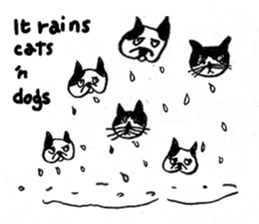 34223444