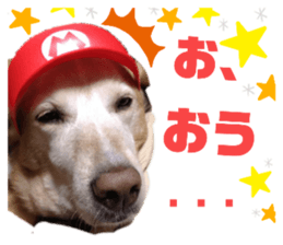 342236437