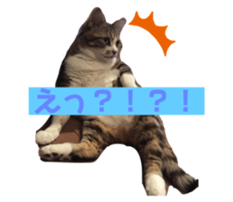 342261957