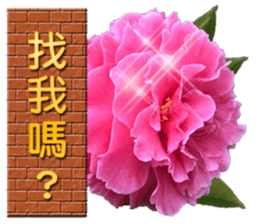 342359144