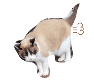 342363447