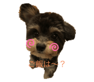 342363450