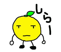 3424029