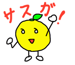 3424033