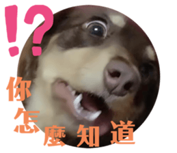 342456826