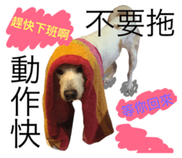 34252980