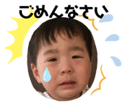 342545113
