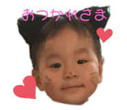 342545115