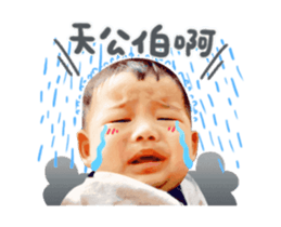 342550213
