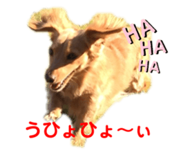 342553524