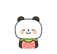 342581360