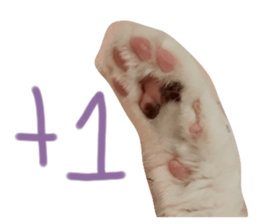 342610961
