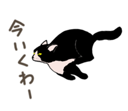 3426115