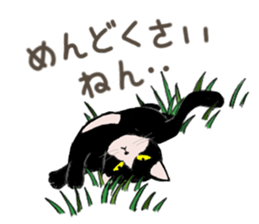 3426116