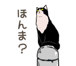 3426117