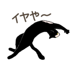 3426118