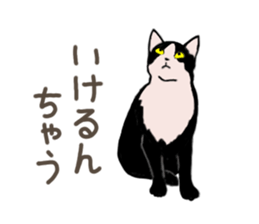 3426125
