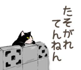 3426126