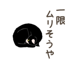 3426127