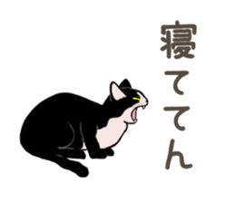 3426132