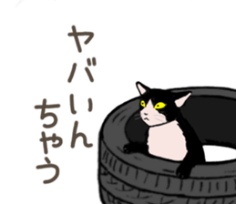 3426136