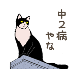 3426137