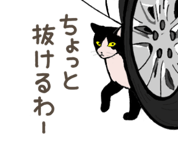 3426141