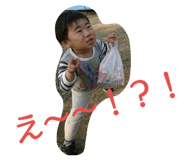 34261480