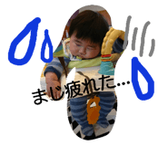 34261488
