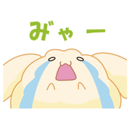 3426334