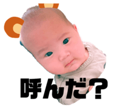 342646575