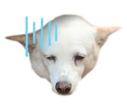 342651020