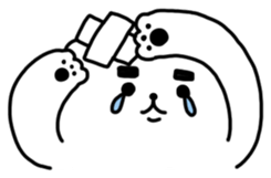 342660933