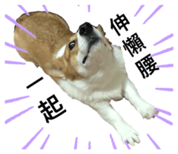 342690587