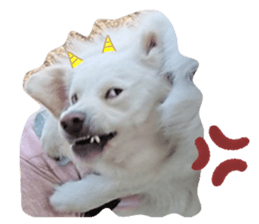 342711675