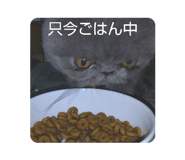 342763406