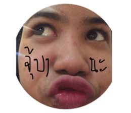34282674