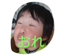 34283304