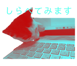 342838882