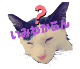 342838899