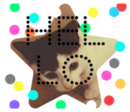 342838901