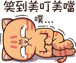 34284009