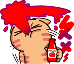 34284023
