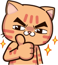 34284024