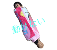 34289019