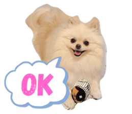 342917367