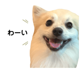 342921047