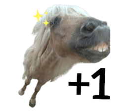 342921218